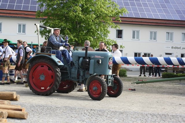 Maibaum 2013